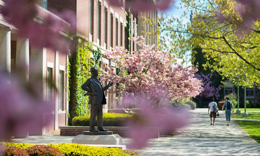 A statue of a man walking on a sidewalk, surrounded by colorful flowers, located at the University of Rochester.
