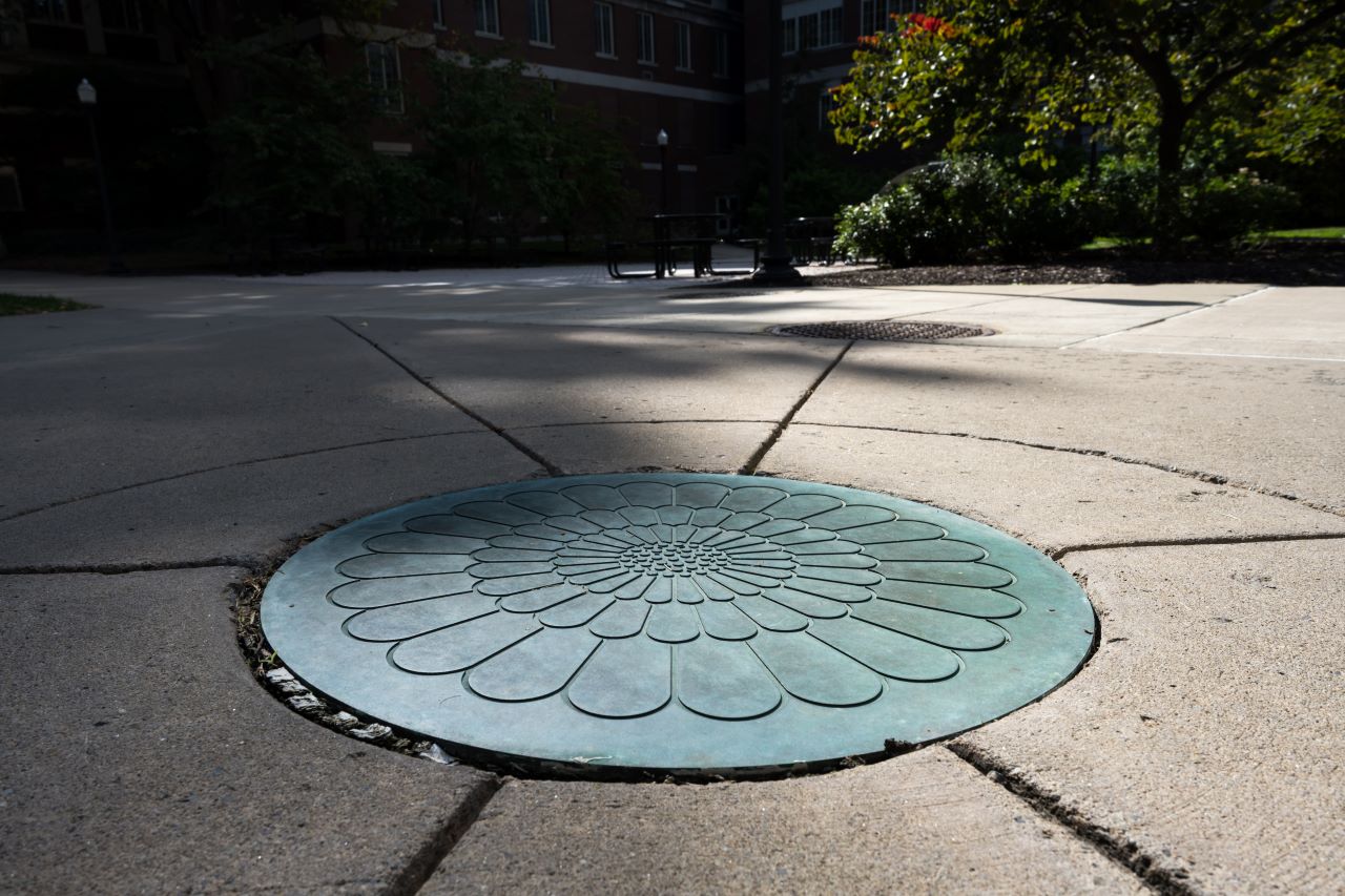 A dandelion insignia in a metal plate on the ground
