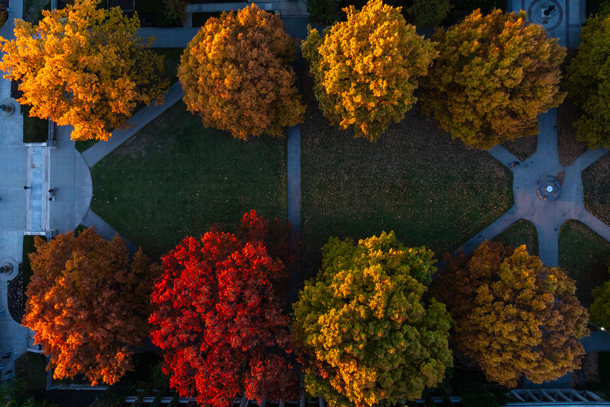 Aerial view of the University of Rochester campus showcasing vibrant fall foliage and colorful trees.