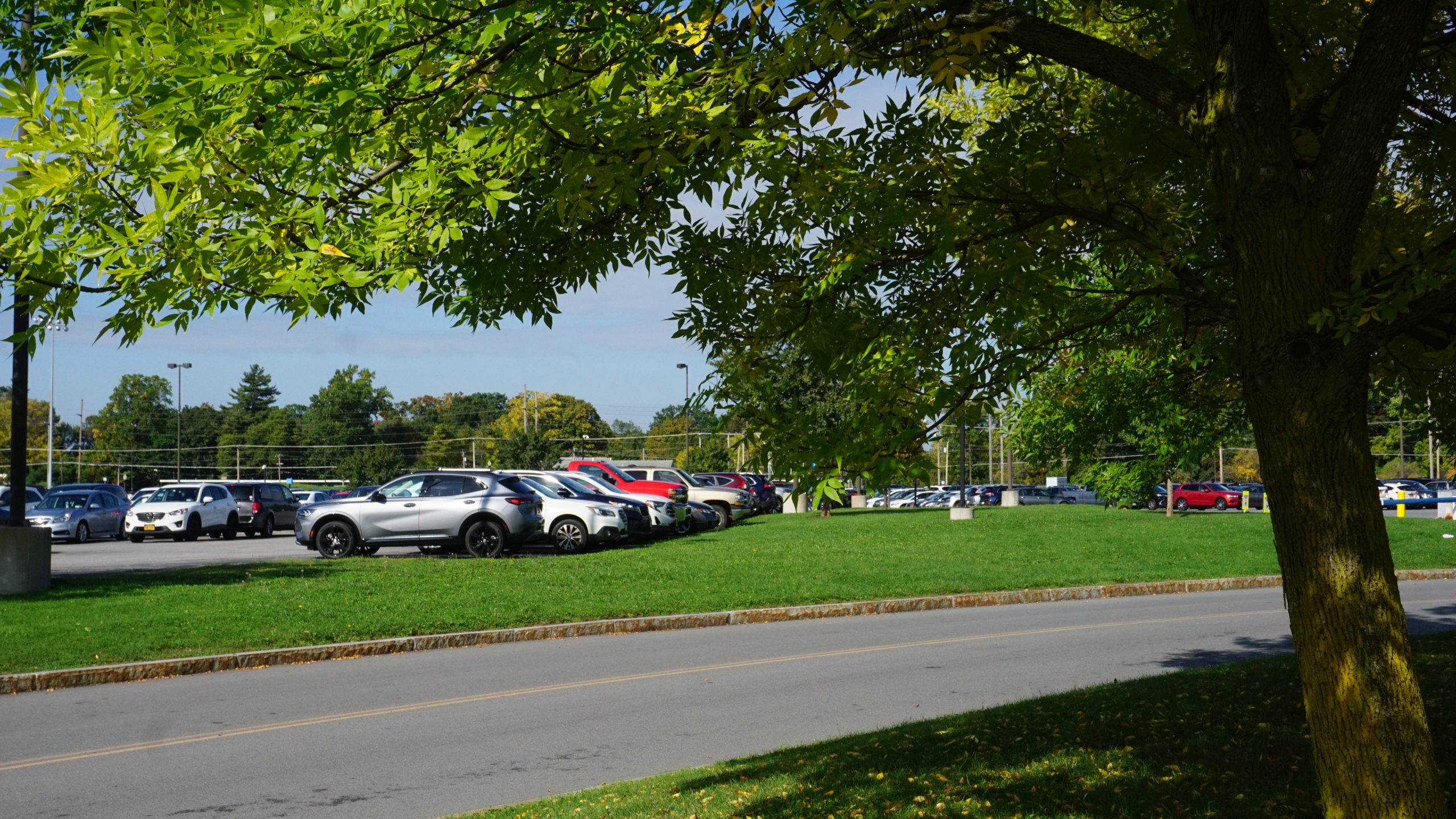 Parking lot at URMC with road and tree in foreground