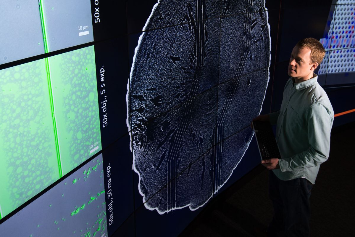 A researcher in front of a large digital screen looking at data