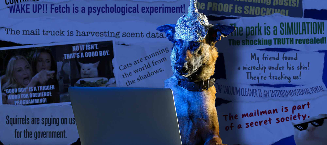 A dog wearing a tin foil hat stares at an open laptop screen. Behind him is a "ripped from the headlines" collage of conspiracy theories a dog might believe.