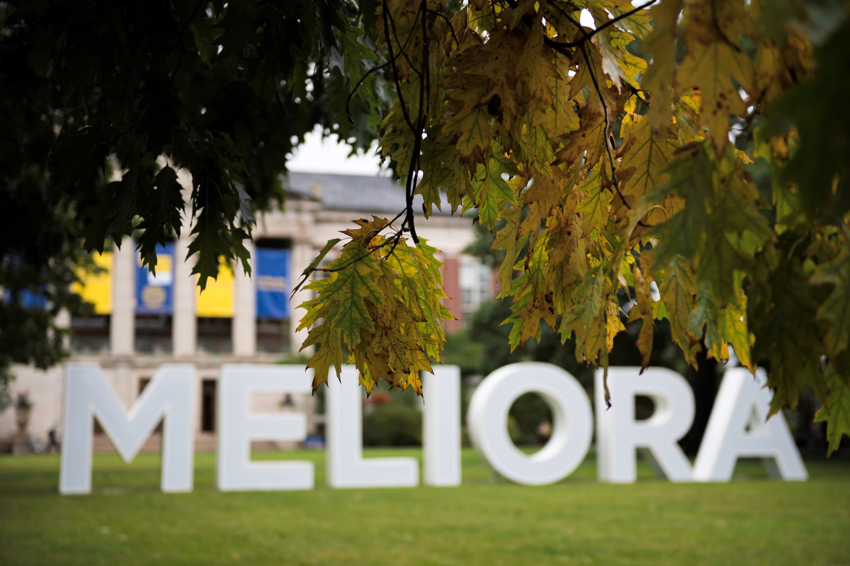 Meliora sign
