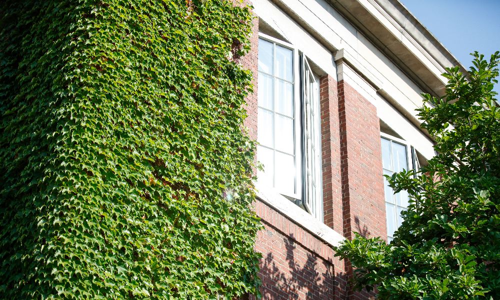 Ivy-covered building at the University of Rochester, showcasing a blend of nature and architecture.