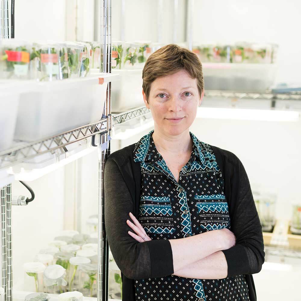 Jenn Brisson in her lab