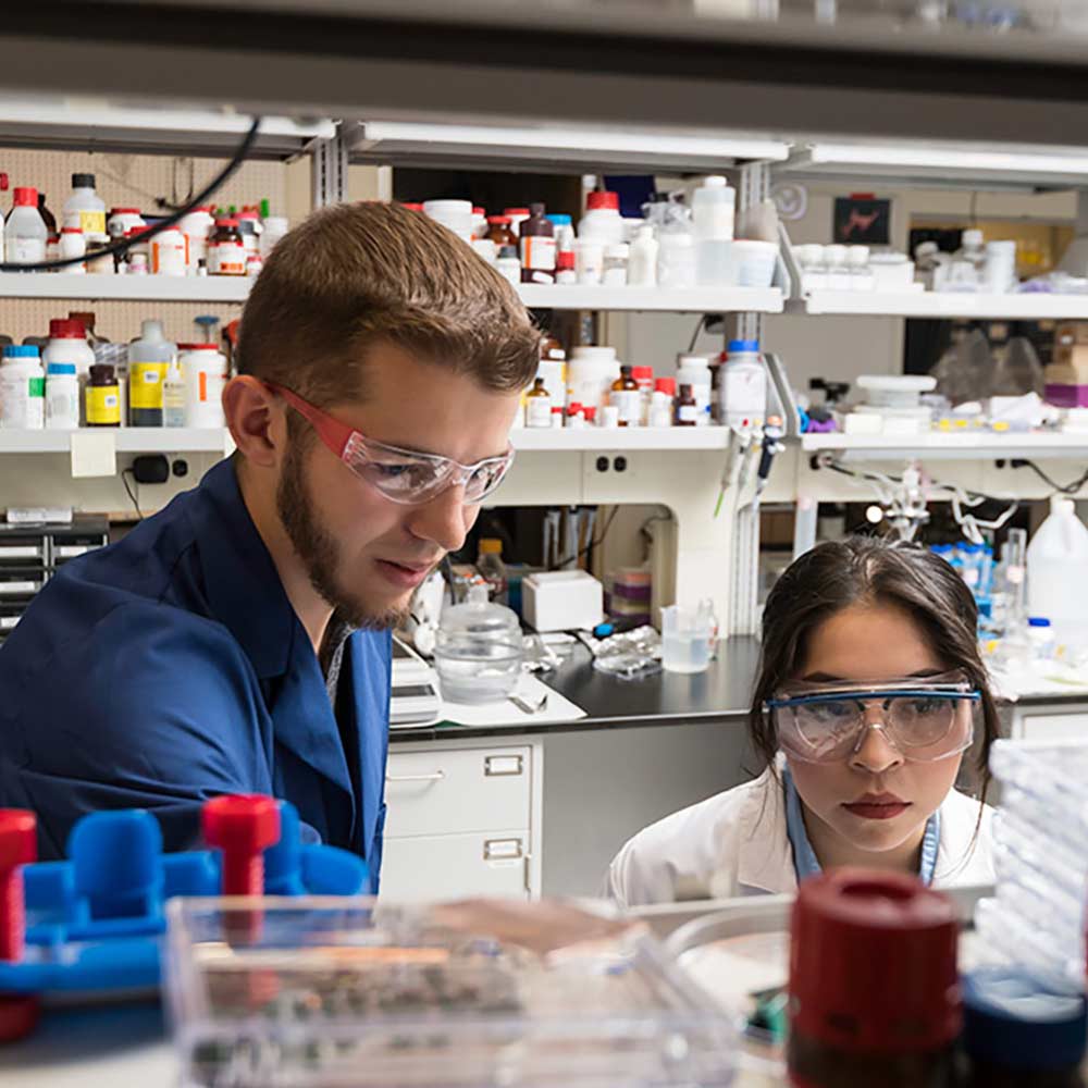 Researchers work in the lab