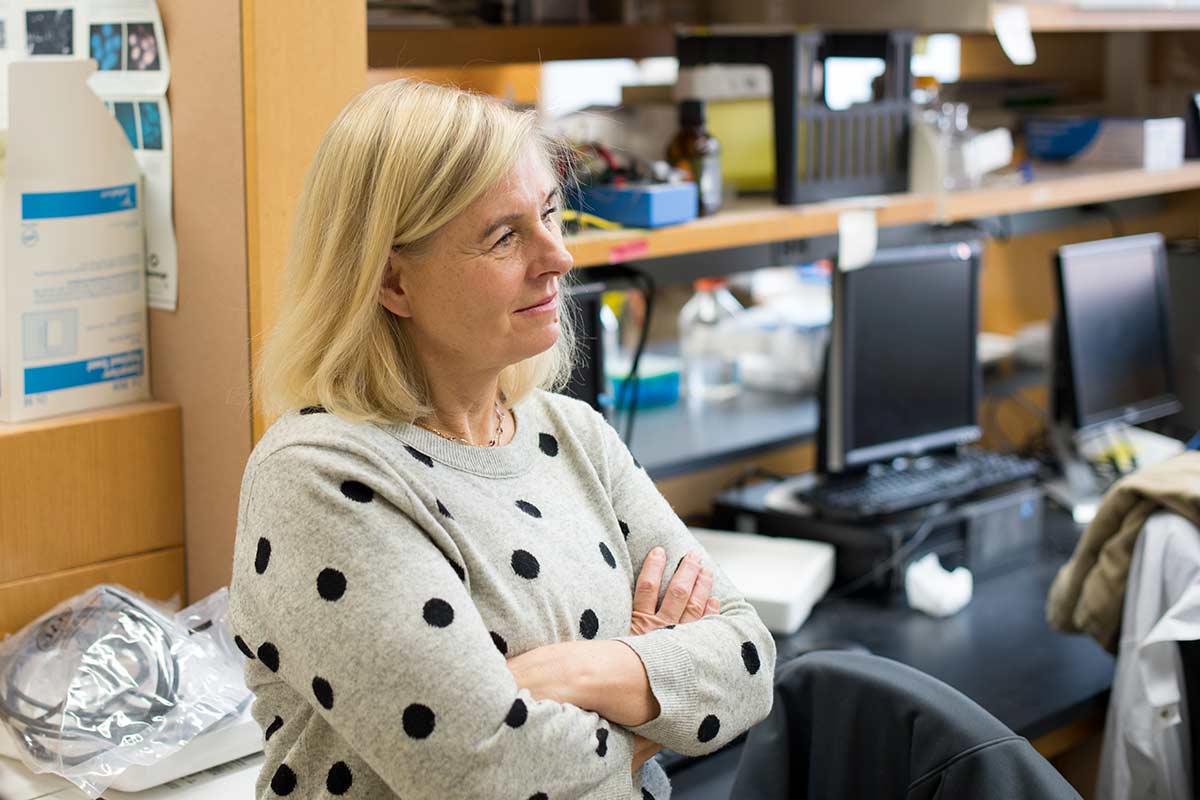 University of Rochester, research faculty member, Maiken Nedergaard in her lab.